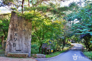 신선봉 여행 추천 - 메고지고
