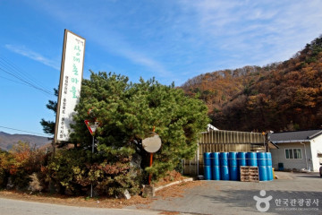 스타CC 여행 추천 - 메고지고