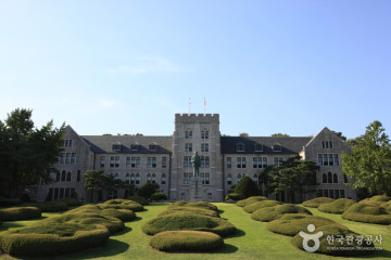 개운사(서울) 여행 추천 - 메고지고