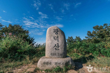 광덕사(천안) 여행 추천 - 메고지고