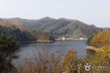 [강원평화누리자전거길 5코스] 화천 만산동길 여행 추천 - 메고지고
