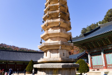 월정사·월정사 전나무숲 여행 추천 - 메고지고