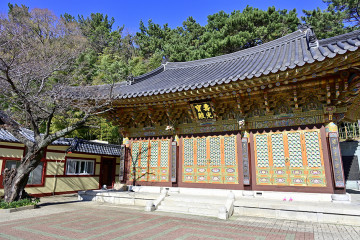 부산광역시립 사하도서관 여행 추천 - 메고지고