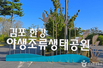 에코센터 여행 추천 - 메고지고