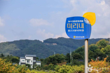미산저수지 여행 추천 - 메고지고