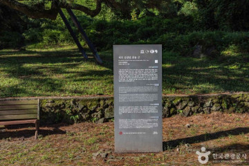 한라산컨트리클럽 여행 추천 - 메고지고
