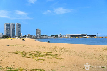 닭전 골목 여행 추천 - 메고지고