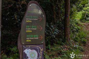 [제주올레 14코스] 저지-한림 올레 여행 추천 - 메고지고
