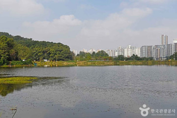 동탄호수공원 여행 추천 - 메고지고