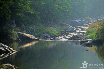 인제 연가리 오토캠핑장 여행 추천 - 메고지고