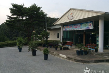 솔밭체육공원오토캠핑장 여행 추천 - 메고지고