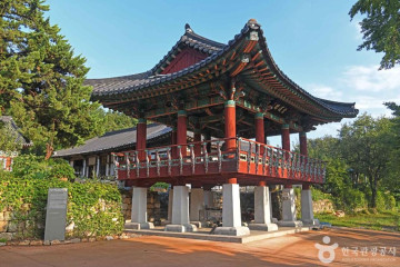 삼척 가시오가피마을 여행 추천 - 메고지고