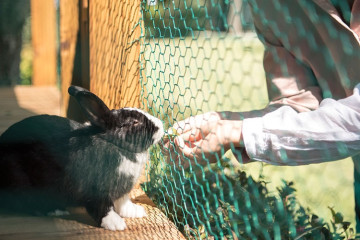 금곡서원 여행 추천 - 메고지고