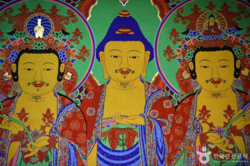 망경대산자연휴양림 여행 추천 - 메고지고