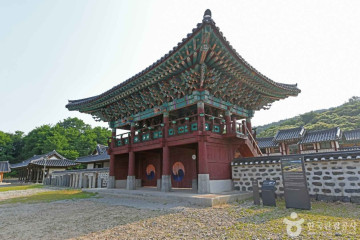 내안의숲오토캠핑장 여행 추천 - 메고지고