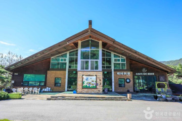 용인 곤충테마파크 여행 추천 - 메고지고