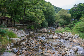사나사(양평) 여행 추천 - 메고지고