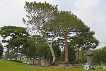 여사울성지 여행 추천 - 메고지고