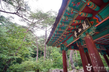 가야산국립공원 치인자동차야영장 여행 추천 - 메고지고
