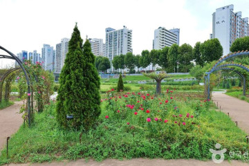 안양천가족정원 여행 추천 - 메고지고