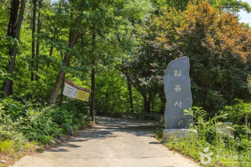 달서구청소년수련관 여행 추천 - 메고지고