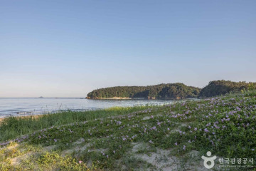 명장섬해수욕장 (장고도) 여행 추천 - 메고지고
