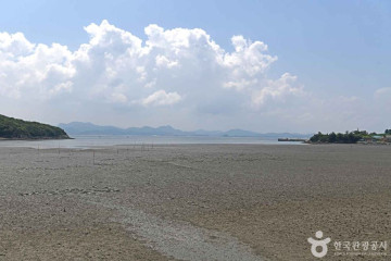 모항해수욕장 여행 추천 - 메고지고