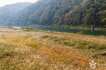 새별공원 여행 추천 - 메고지고
