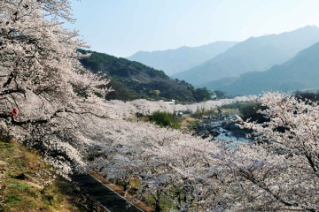 가탄마을 여행 추천 - 메고지고
