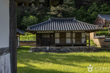 대충캠핑장 여행 추천 - 메고지고