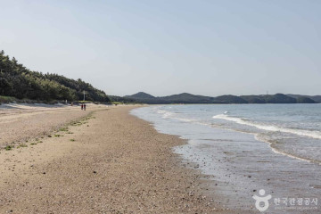 백사장사계절숲속캠핑장 여행 추천 - 메고지고