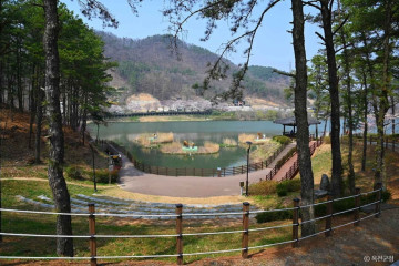 옥천 육영수 생가 여행 추천 - 메고지고