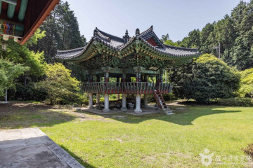 미래사 편백나무숲 여행 추천 - 메고지고