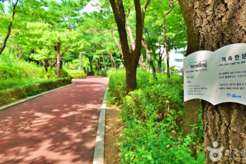 서울 풍납동 토성 여행 추천 - 메고지고