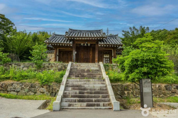 달창지 벚꽃길 여행 추천 - 메고지고