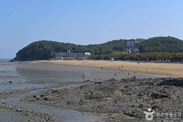 소사나무 군락지 여행 추천 - 메고지고