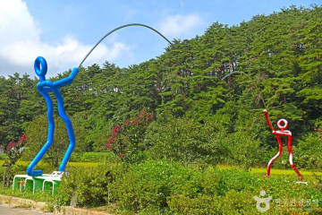 양양포레스트캠핑장 여행 추천 - 메고지고