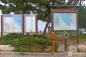 강릉여행 굿캠핑 여행 추천 - 메고지고