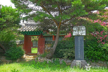 대파니힐링팜 여행 추천 - 메고지고