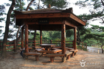 북악스카이 팔각정 여행 추천 - 메고지고
