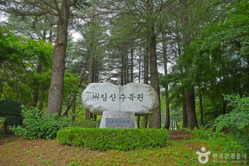 갑오동학혁명 100주년 기념탑 여행 추천 - 메고지고