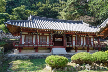 산청 실매리 왕버드나무군 여행 추천 - 메고지고