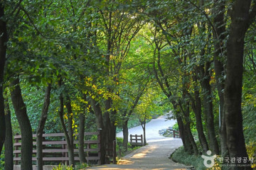 초평밤나무캠핑장 여행 추천 - 메고지고