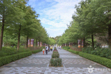 전주동물원 여행 추천 - 메고지고
