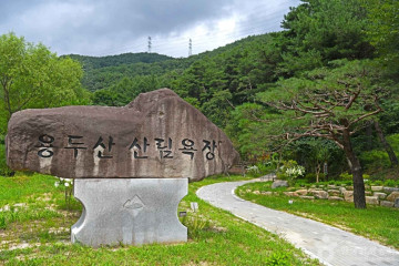 대현캠핑장 여행 추천 - 메고지고