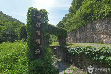부엉캠핑클럽 여행 추천 - 메고지고