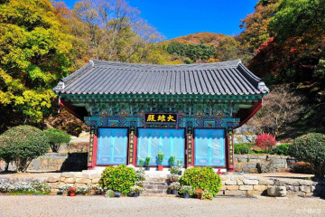 국립회문산자연휴양림 캠핑장 여행 추천 - 메고지고