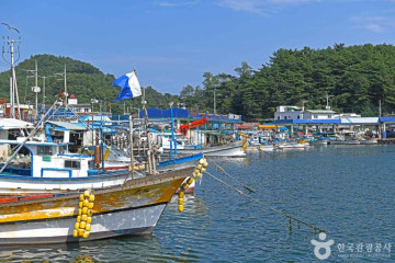 빅웨이브 여행 추천 - 메고지고
