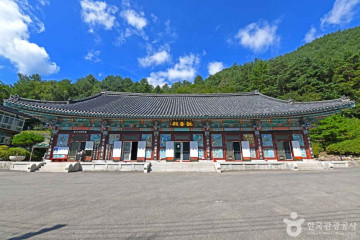 장산(영월) 여행 추천 - 메고지고