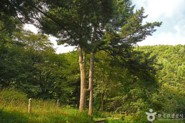 심원암 토불 및 부도 여행 추천 - 메고지고